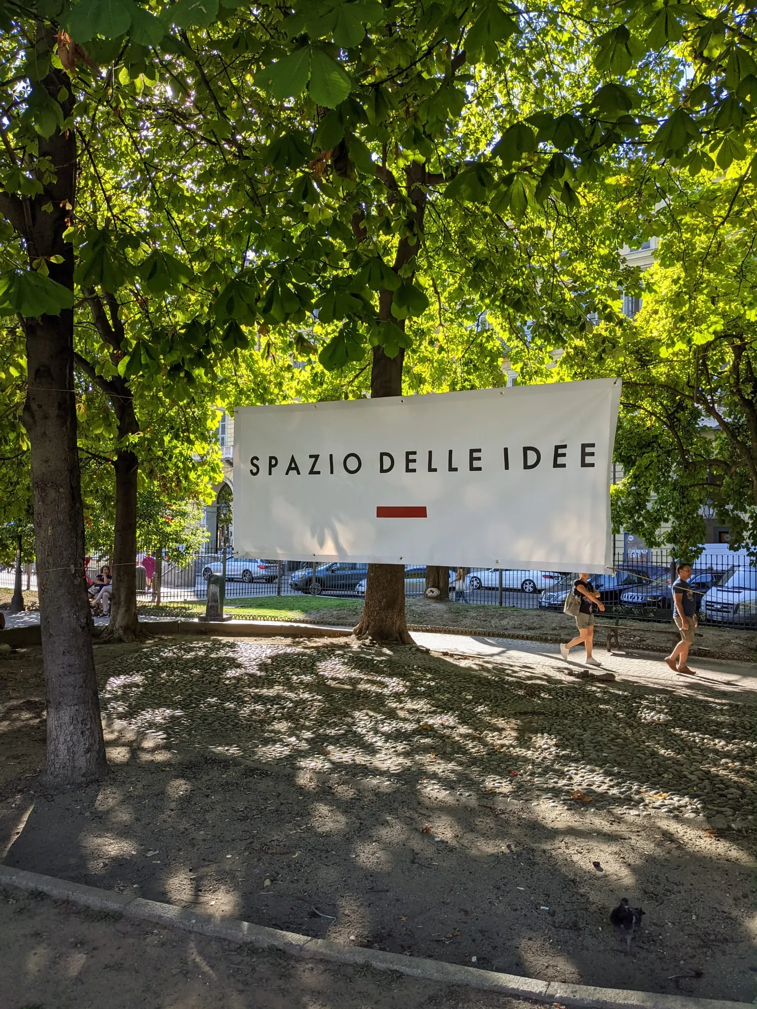 (13) Spazio delle idee