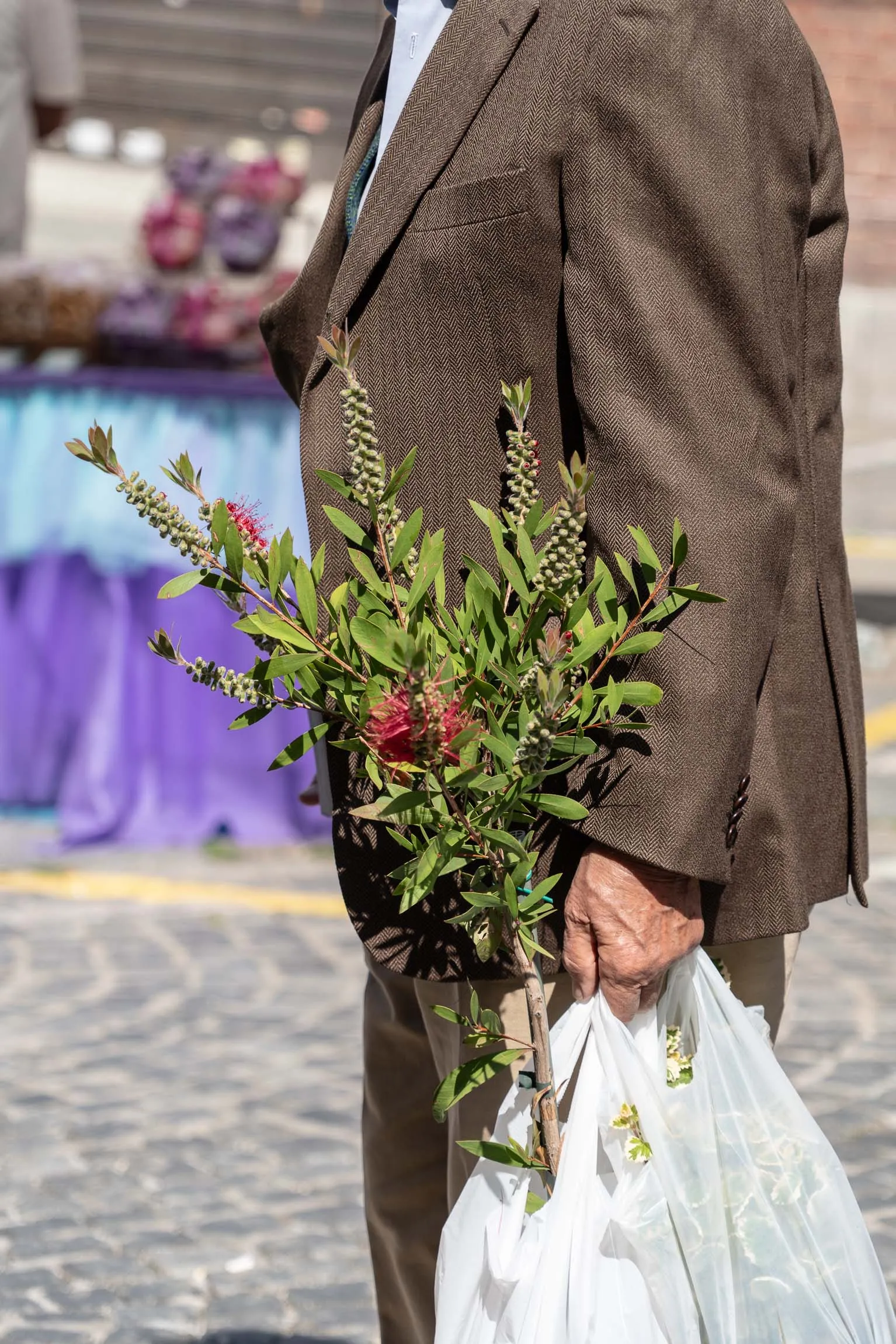 (38) Fiorile Maggio 2026