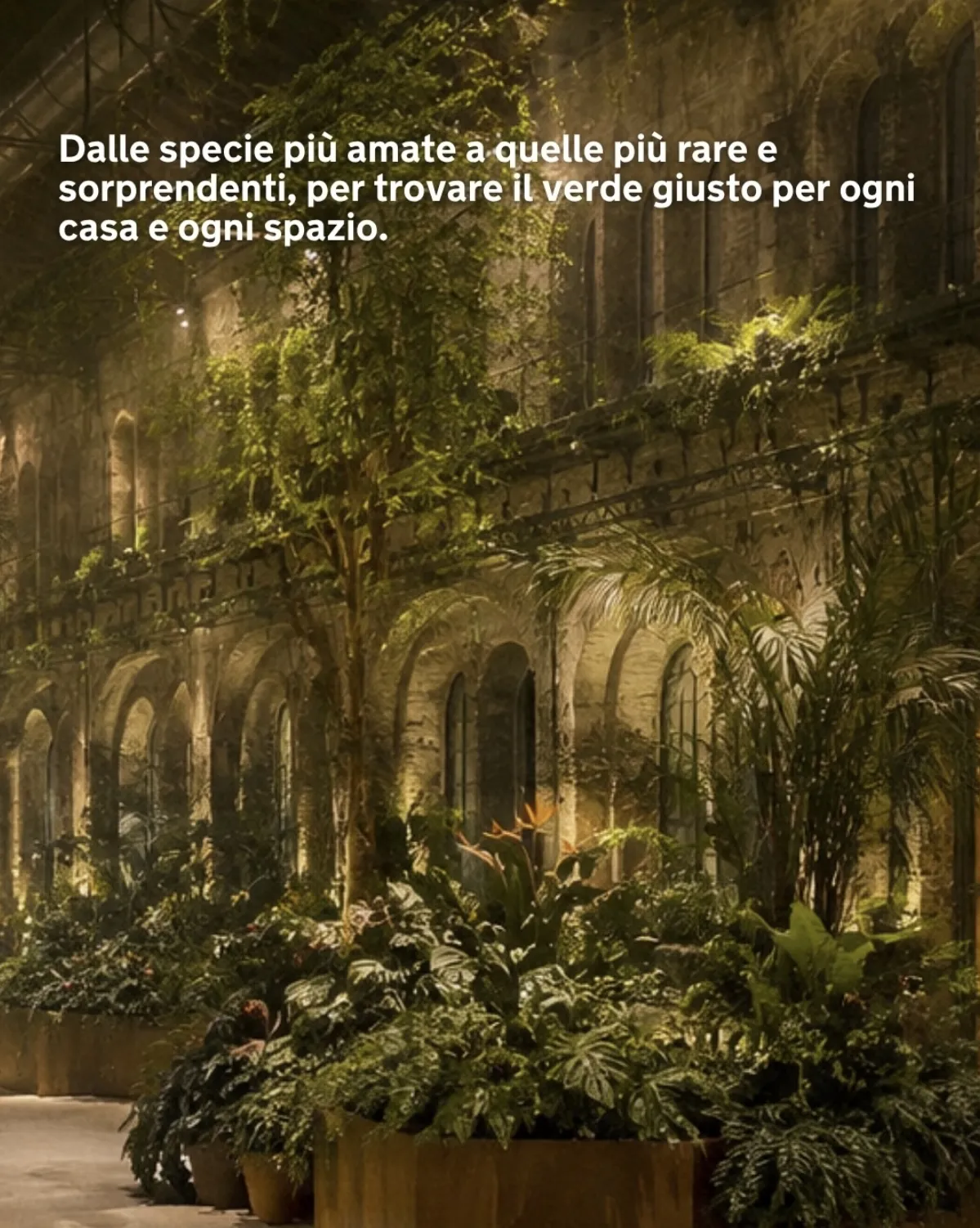 (82) 18:09:2026 - 20:09:2026 - Piantala5
