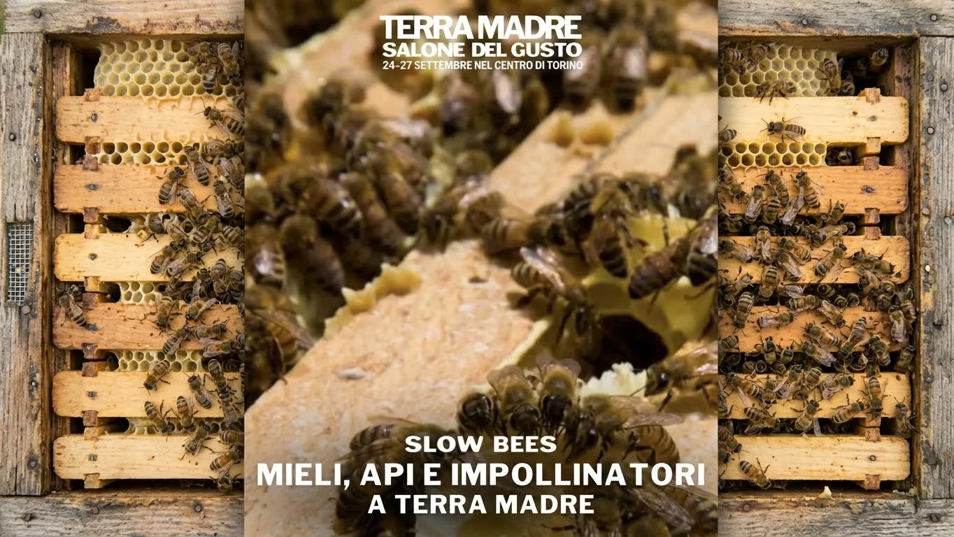(85) 24:09:2026 - 27:09:2026 - Terra Madre Salone del Gusto 16-9