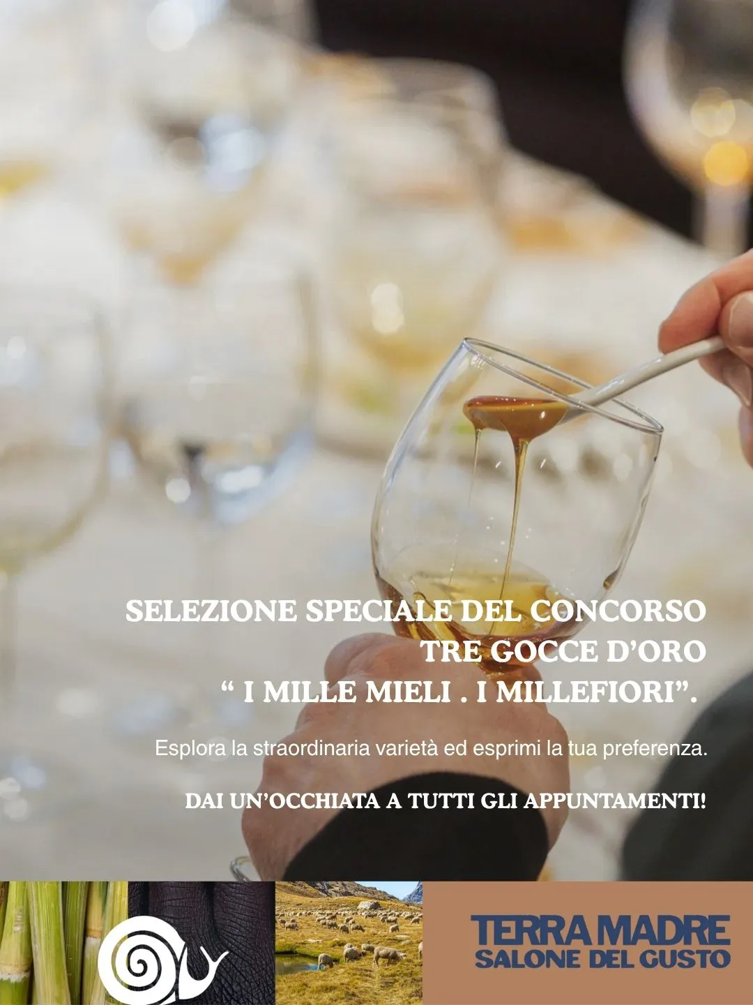 (85) 24:09:2026 - 27:09:2026 - Terra Madre Salone del Gusto2
