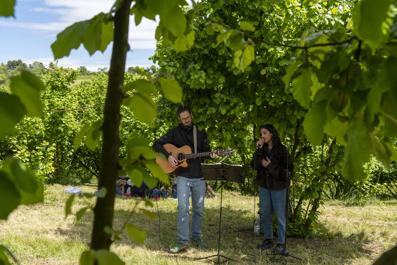 FIORILE_musica dal vivo