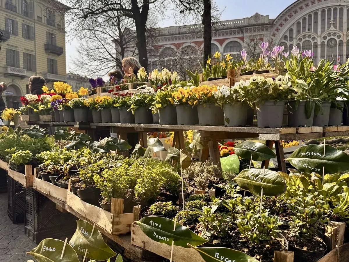 Mercato Googreen edizione 2026