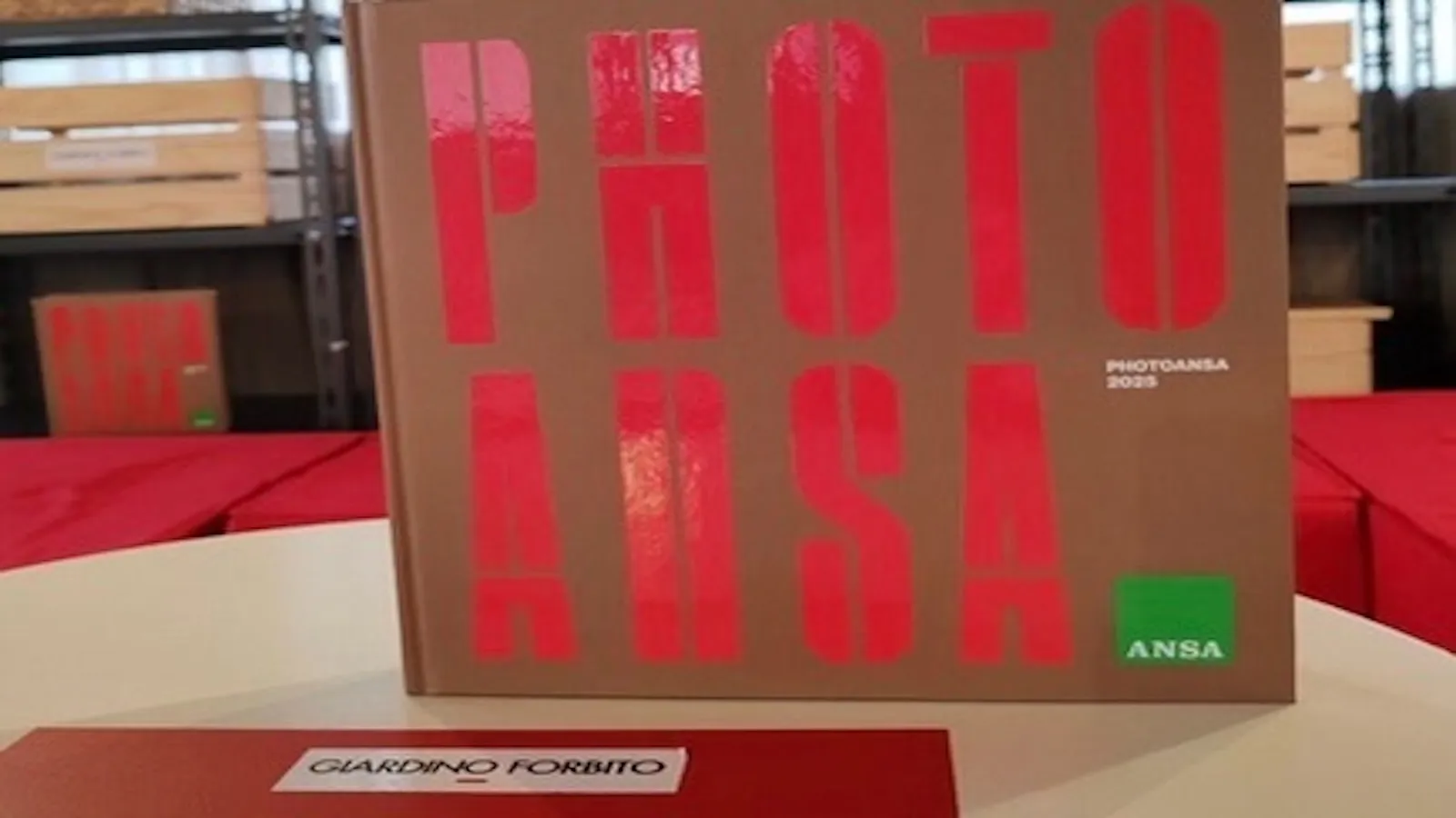 PhotoAnsa 2025