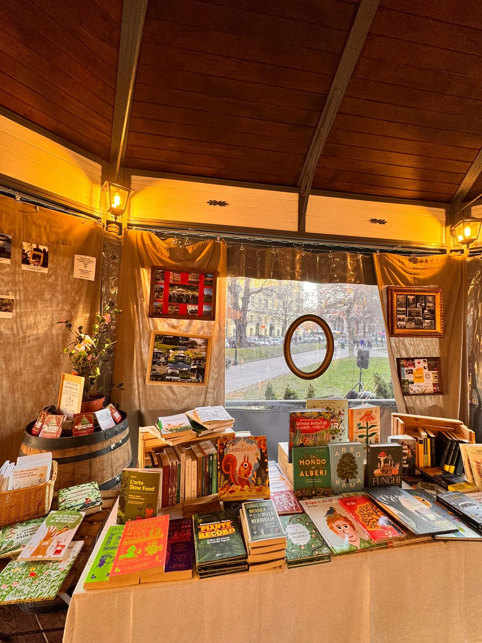 esposizioni libri
