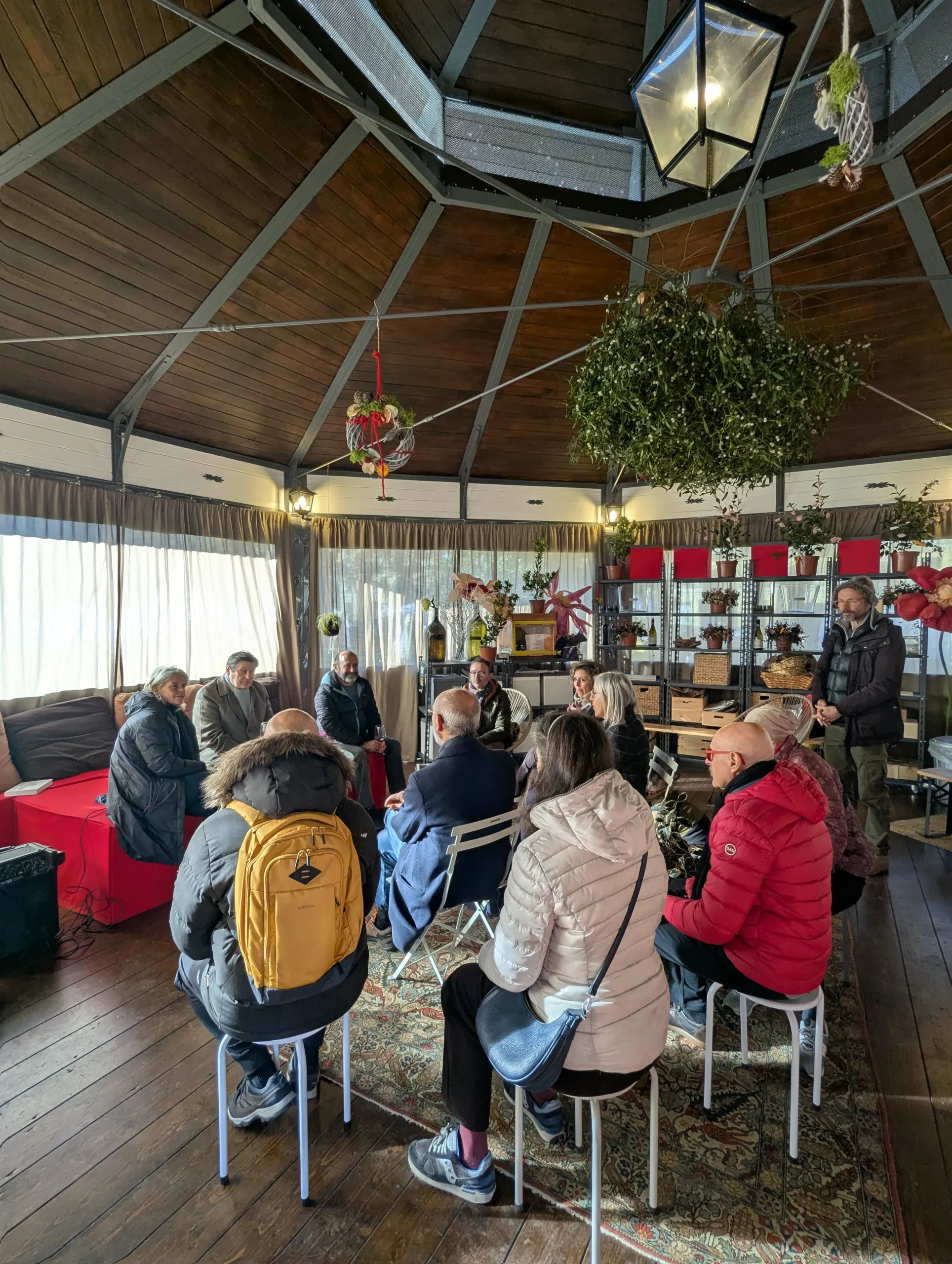 gialli sotto l'albero