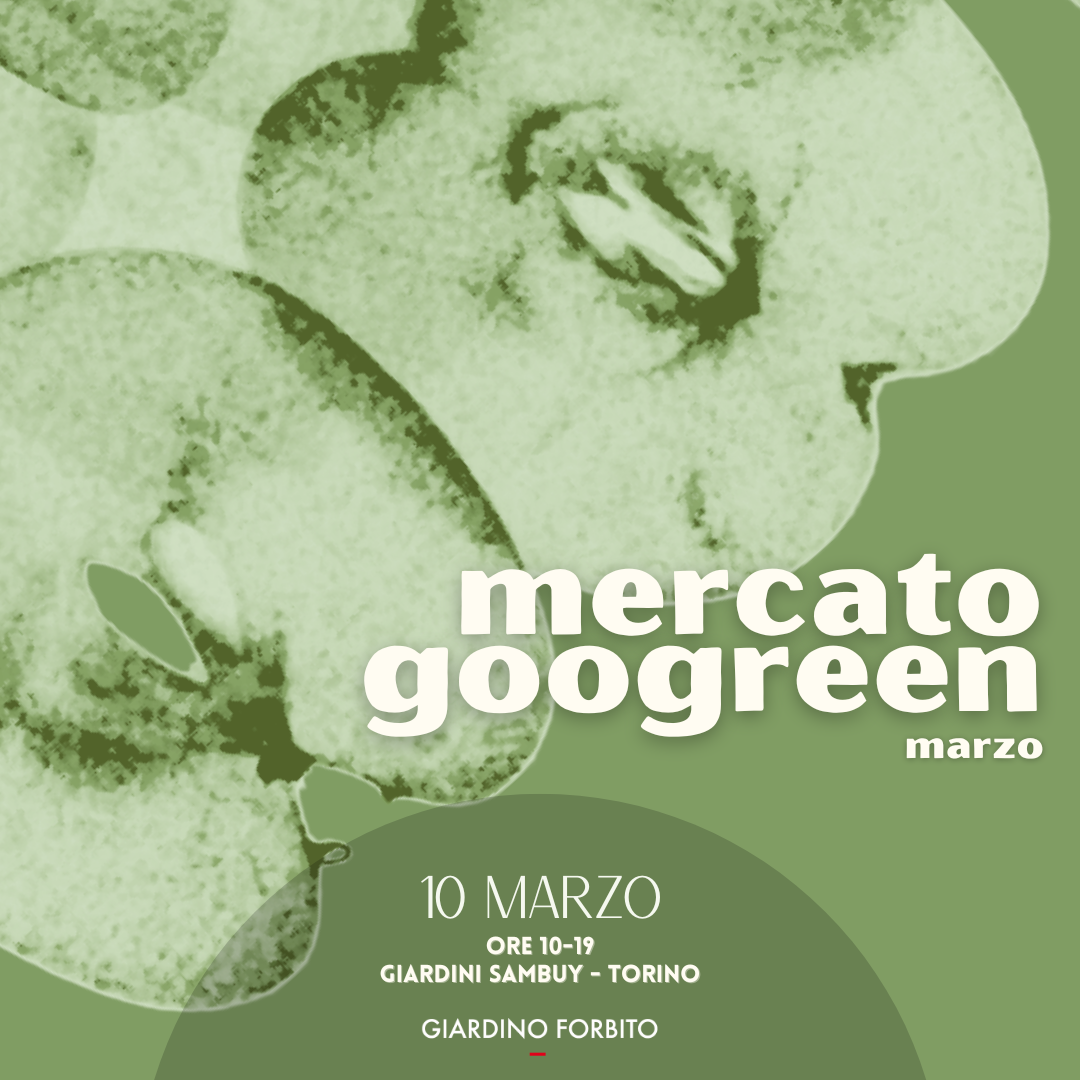 Mercato Googreen marzo 2024