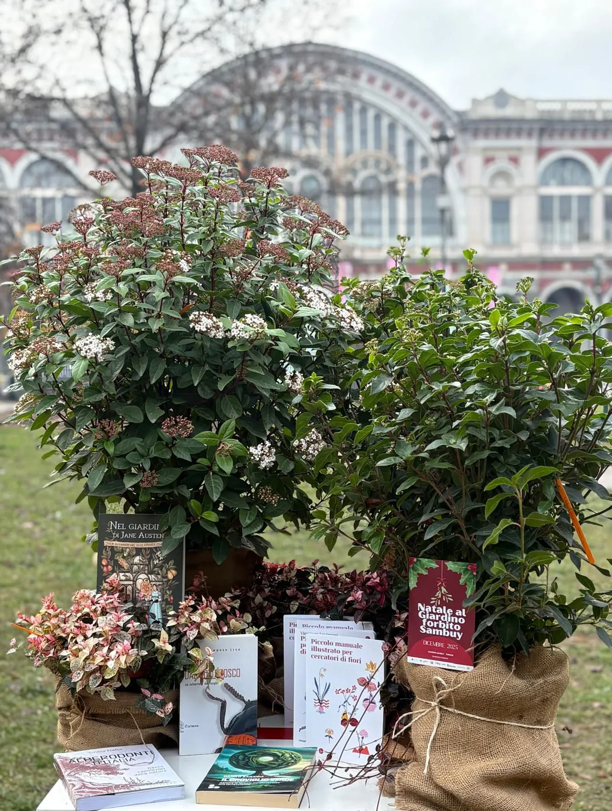 piante e libri