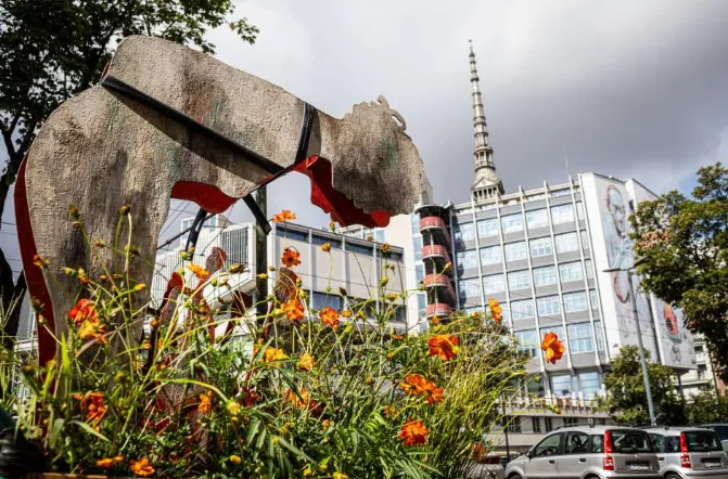 pioniera in città