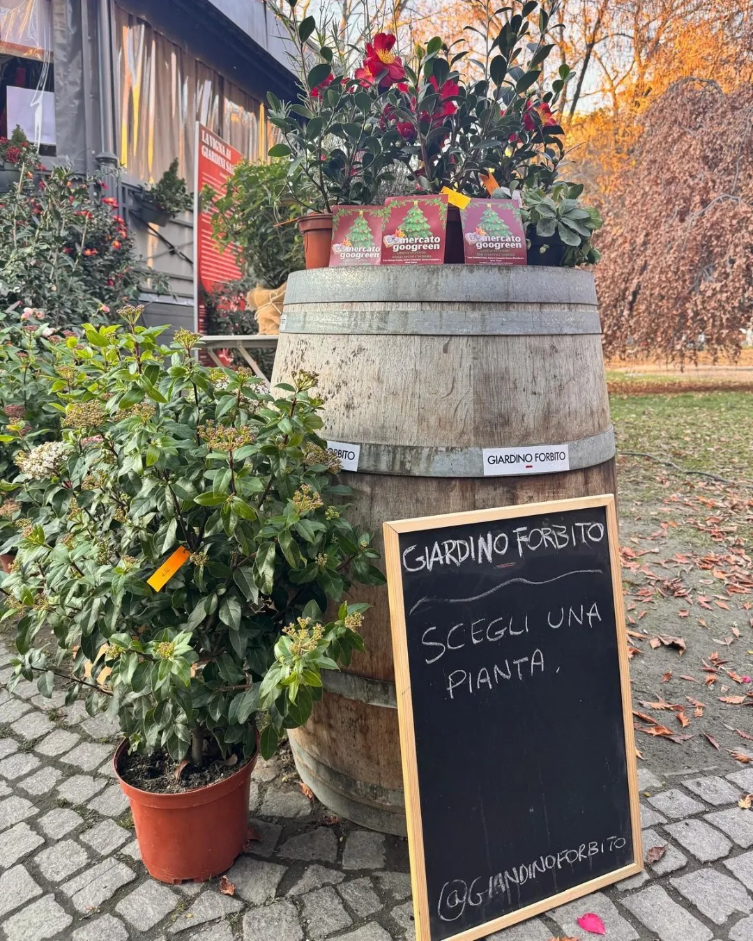 scambio semi e piante